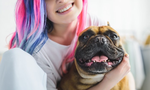 Pet Friendly Apartments Cover Image