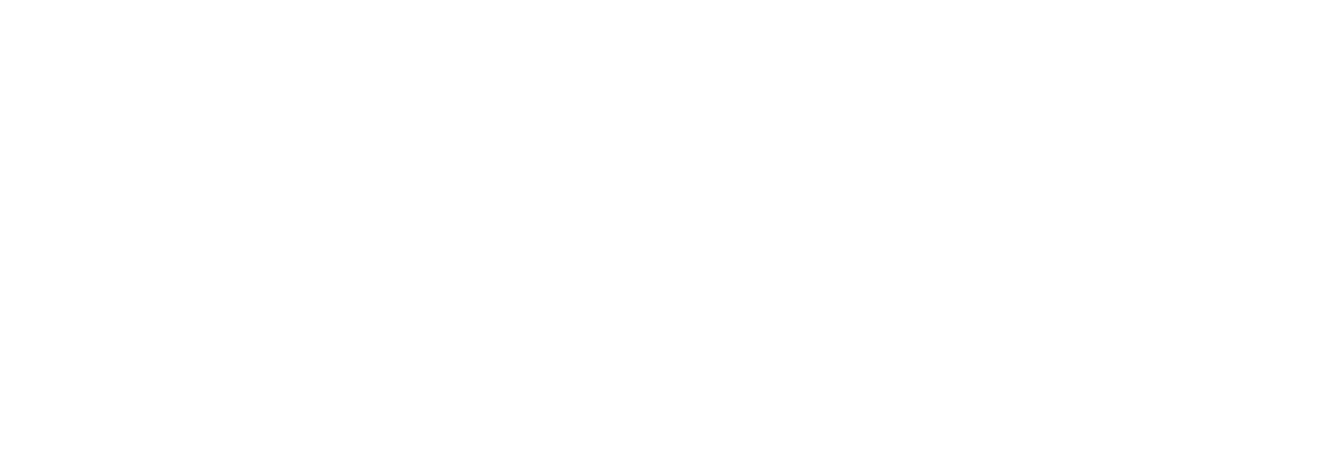 Nollie Logo